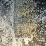 Bizcocho de zanahoria en taza