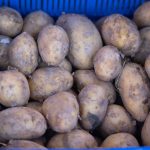 Puré de patatas en Mambo