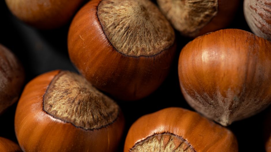 Crema de cacao y avellanas casera