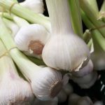 Ajo blanco