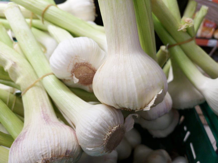 Ajo blanco