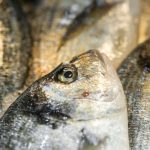 Dorada al vapor con verduras en Mambo